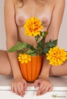 ��������� - �������� ������ � �������������� ����