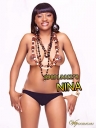 ����������� NINA